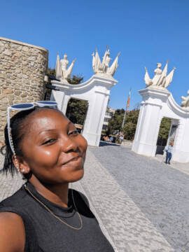 Damilola Olorunshola profile image
