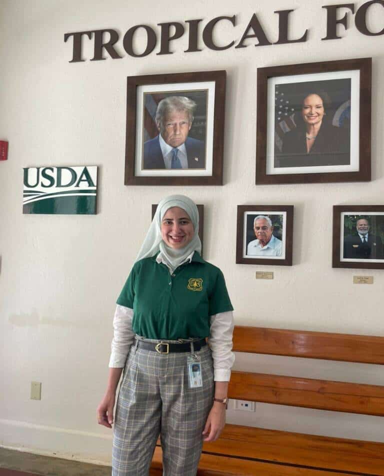 Dr. Heba Bedair
