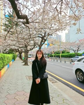 Phung Lan Phuong Linh profile image